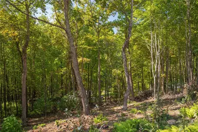 Lot 137 Angelfire Trail, Deep Gap, NC 28618 - Photo 5