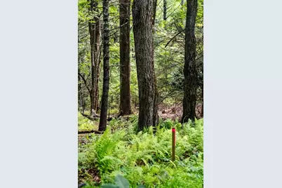 1218 Waterfall Road, Sparta, NC 28675 - Photo 45