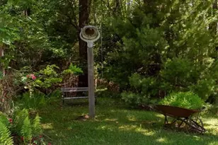 1218 Waterfall Rd, Sparta, NC 28675 - Photo 5