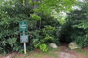 42 Thorn Wood Loop, Newland, NC 28657 - Photo 45