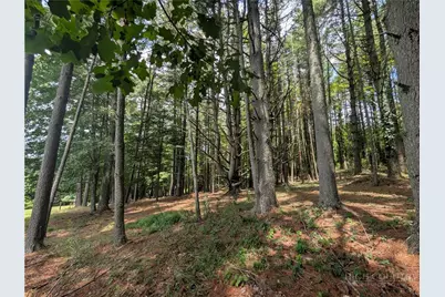 Tbd Doell Lane #20, Sparta, NC 28675 - Photo 17