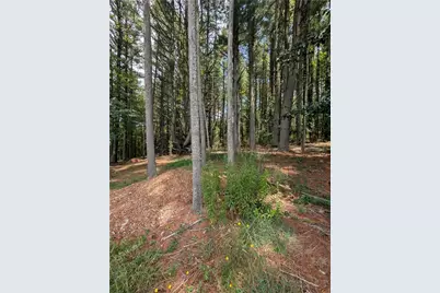 Tbd Doell Lane #20, Sparta, NC 28675 - Photo 15
