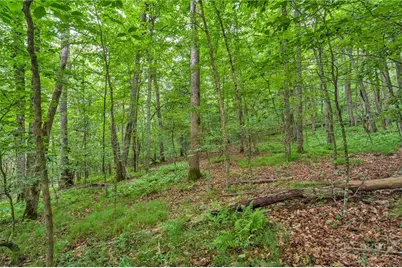 Tbd Junaluska, Boone, NC 28607 - Photo 15
