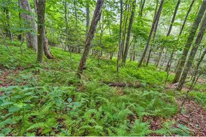 Tbd Junaluska, Boone, NC 28607 - Photo 5