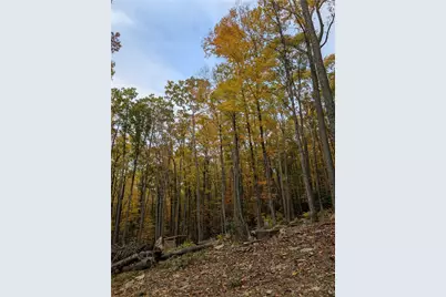 Tbd Rocky Mountain Road, Sparta, NC 28627 - Photo 23