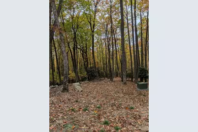 Tbd Rocky Mountain Road, Sparta, NC 28627 - Photo 25