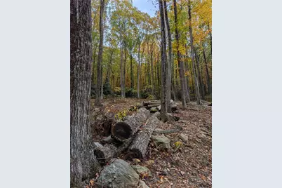 Tbd Rocky Mountain Road, Sparta, NC 28627 - Photo 35