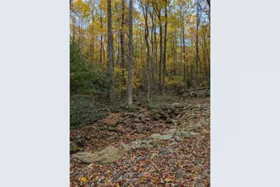 Tbd Rocky Mountain Road, Sparta, NC 28627 - Photo 17
