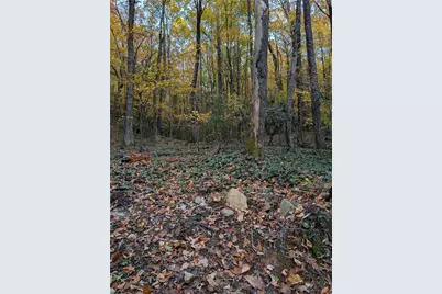 Tbd Rocky Mountain Road, Sparta, NC 28627 - Photo 13