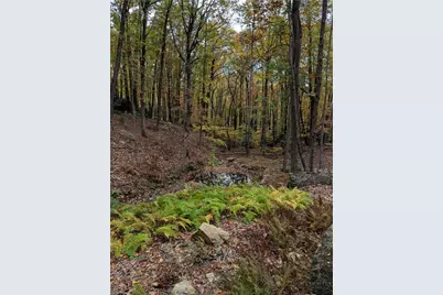 Tbd Rocky Mountain Road, Sparta, NC 28627 - Photo 21