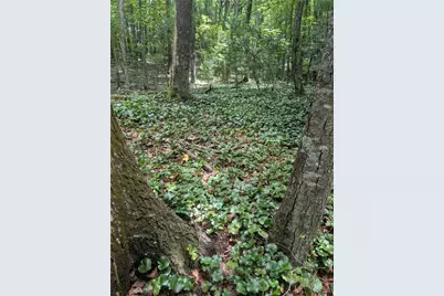 Tbd Rocky Mountain Road, Sparta, NC 28627 - Photo 5