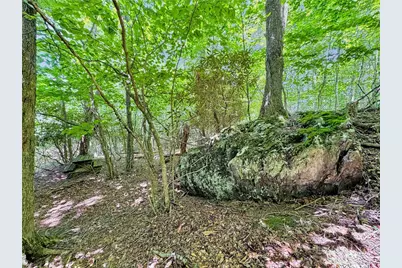 321 Grays Shadow Lane, Banner Elk, NC 28604 - Photo 37