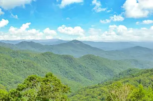 140 Foggy Hollow, Blowing Rock, NC 28605 - Photo 3