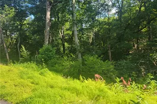 Tbd Tree Top Dr, Boone, NC 28607 - Photo 1