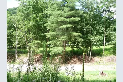 870 Bairds Creek Road, Vilas, NC 28692 - Photo 7