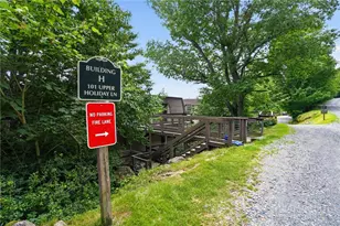 101 Upper Holiday Ln, Beech Mountain, NC 28604 - Photo 5