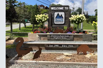 301 Pinnacle Inn Road #3313, Beech Mountain, NC 28604 - Photo 39