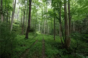 Tbd Blowing Rock Rd, Lenoir, NC 28645 - Photo 1