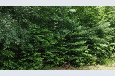 Tbd Blowing Rock Road, Lenoir, NC 28645 - Photo 23