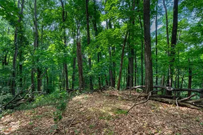 Lot 4 Old Orchard Road, Blowing Rock, NC 28605 - Photo 9
