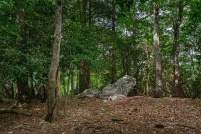 Lot 4 Old Orchard Road, Blowing Rock, NC 28605 - Photo 13