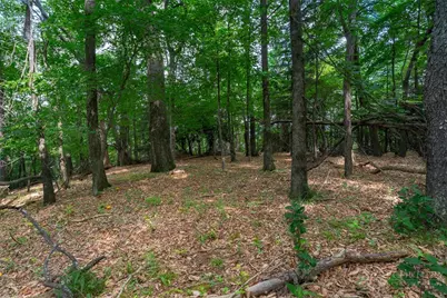 Lot 4 Old Orchard Road, Blowing Rock, NC 28605 - Photo 11