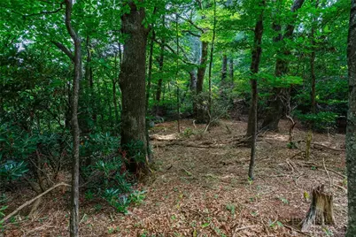 Lot 4 Old Orchard Road, Blowing Rock, NC 28605 - Photo 7