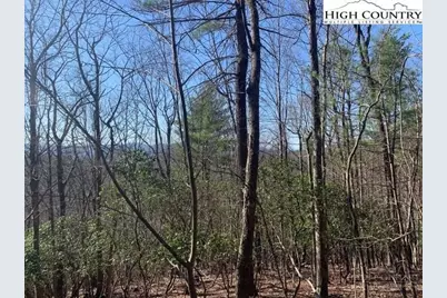 Tba Park Vista Road, West Jefferson, NC 28694 - Photo 11