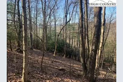 Tba Park Vista Road, West Jefferson, NC 28694 - Photo 13