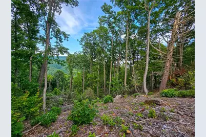 85 Eagle Watch Circle, Deep Gap, NC 28618 - Photo 7