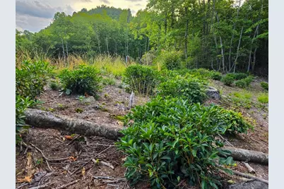 85 Eagle Watch Circle, Deep Gap, NC 28618 - Photo 13