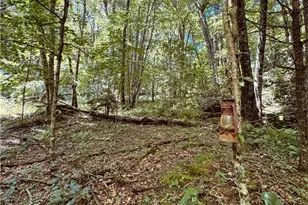 6835 Nc 183 Hwy, Newland, NC 28657 - Photo 29