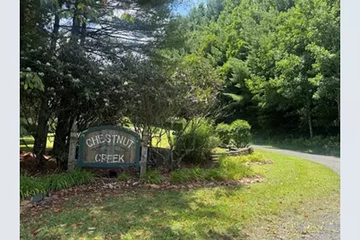 Tbd Chestnut Creek Road, West Jefferson, NC 28694 - Photo 3