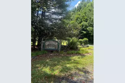 Tbd Chestnut Creek Road, West Jefferson, NC 28694 - Photo 7