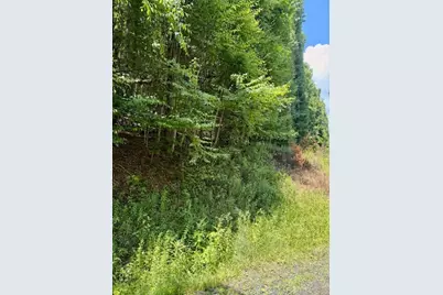 Tbd Chestnut Creek Road, West Jefferson, NC 28694 - Photo 1