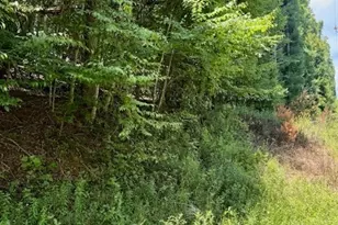 Tbd Chestnut Creek Rd, West Jefferson, NC 28694 - Photo 1