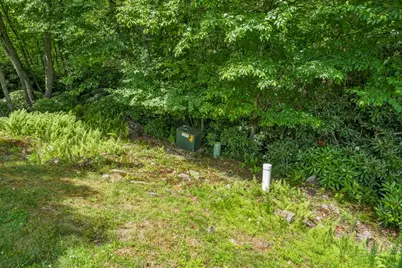 Lot 134 Tbd Firethorn Trail, Blowing Rock, NC 28605 - Photo 3