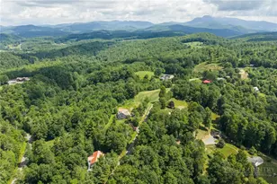 9081 Pittmans Gap Rd, Newland, NC 28657 - Photo 47