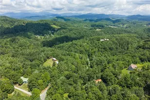 9081 Pittmans Gap Rd, Newland, NC 28657 - Photo 49