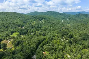 9081 Pittmans Gap Rd, Newland, NC 28657 - Photo 47