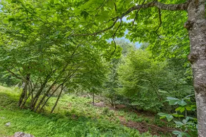 Tbd Stack Rock Way, Blowing Rock, NC 28605 - Photo 5