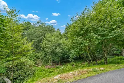 Lot 220 Tbd Stack Rock Way, Blowing Rock, NC 28605 - Photo 5