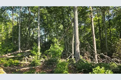 Lot 122 Pine Tree Drive, Spruce Pine, NC 28777 - Photo 1