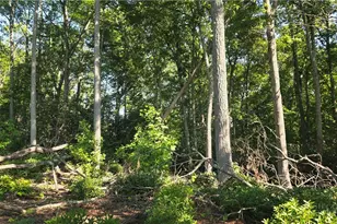 Lot 122 Pine Tree Dr, Spruce Pine, NC 28777 - Photo 1