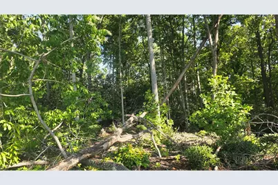 Lot 122 Pine Tree Drive, Spruce Pine, NC 28777 - Photo 3