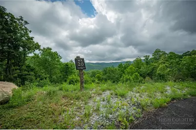 Wr20 Firethorne Lane, Elk Park, NC 28604 - Photo 15