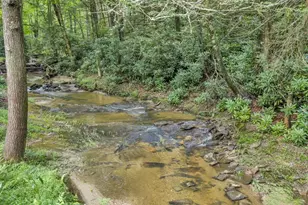 166 Charlie Hicks Rd, Banner Elk, NC 28604 - Photo 7