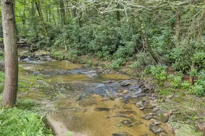 166 Charlie Hicks, Banner Elk, NC 28604 - Photo 7