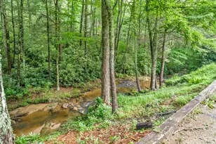 166 Charlie Hicks Rd, Banner Elk, NC 28604 - Photo 5