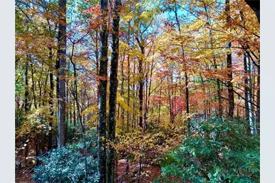 135 Teaberry Trail, Beech Mountain, NC 28604 - Photo 45